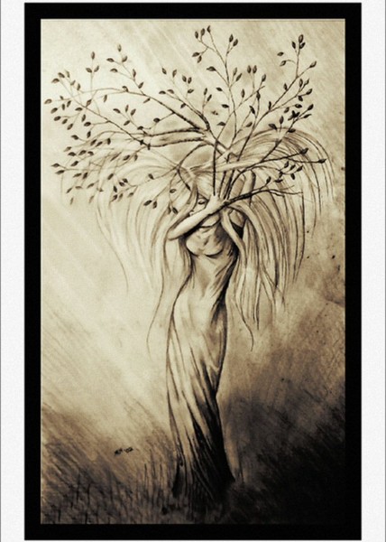 Tree Nymph