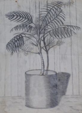 palm