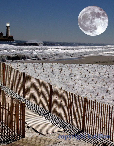 MOON LIGHT SHORES
