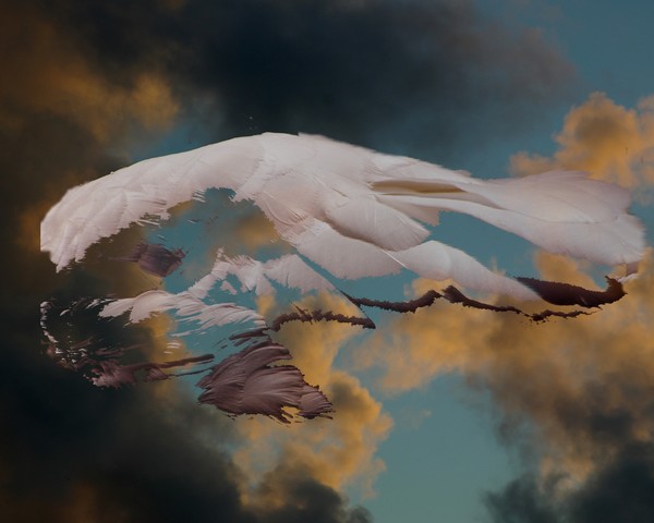 skyfeather 