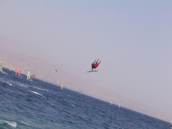 Fly
