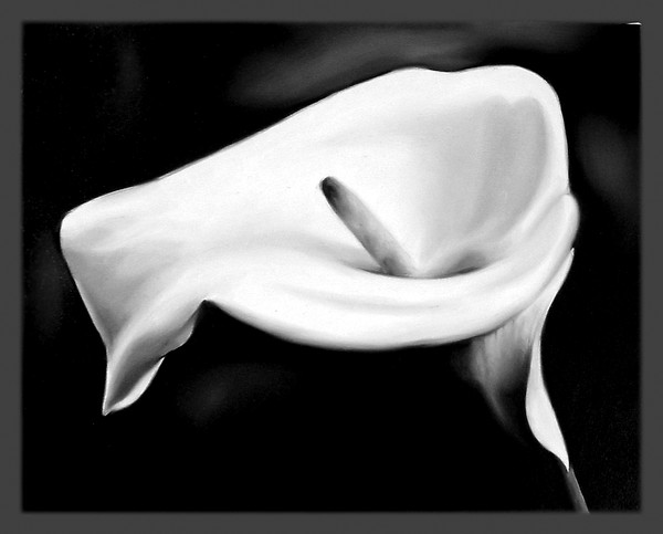 lone lily