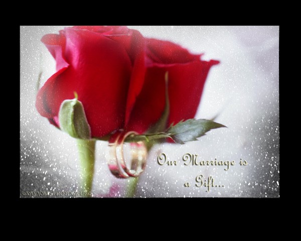 Vows Of Love