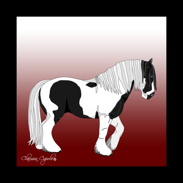 Gypsy Vanner Horse #9