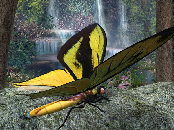 Birdwing