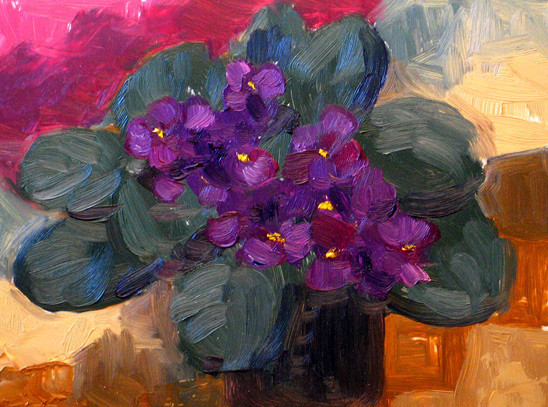 African Violets