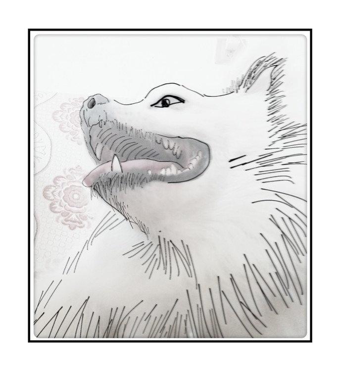Portrait of a Dog
