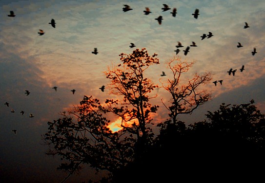 going home