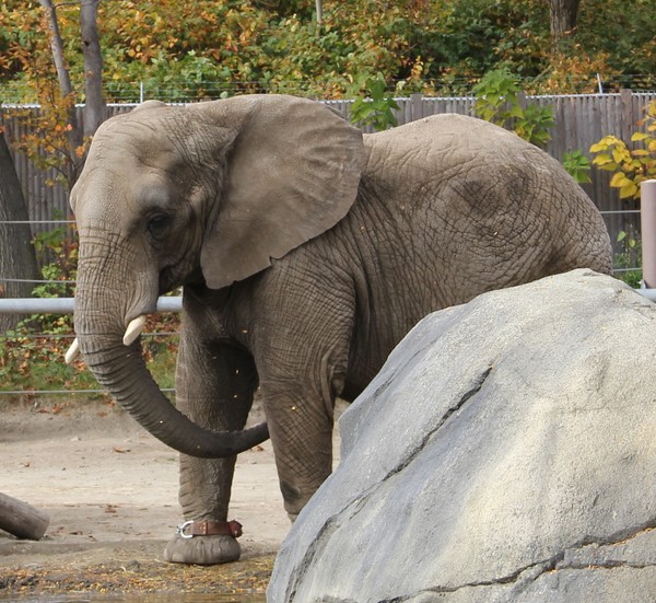 Morning Bath for a pee wee
