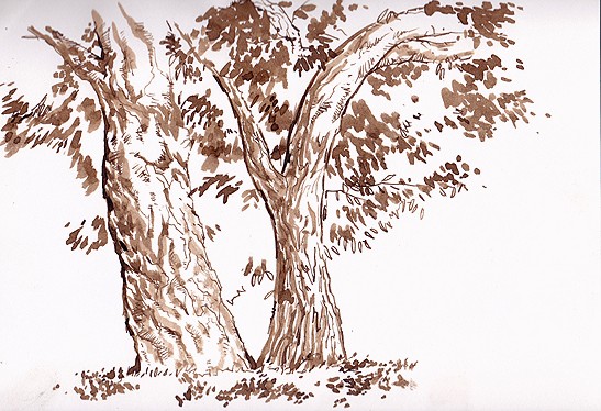 Tree1A