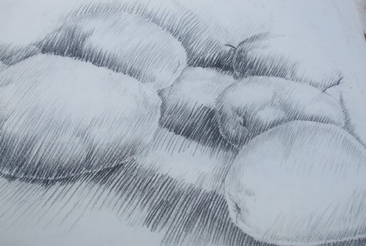 Fruit