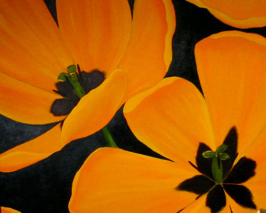 golden tulips