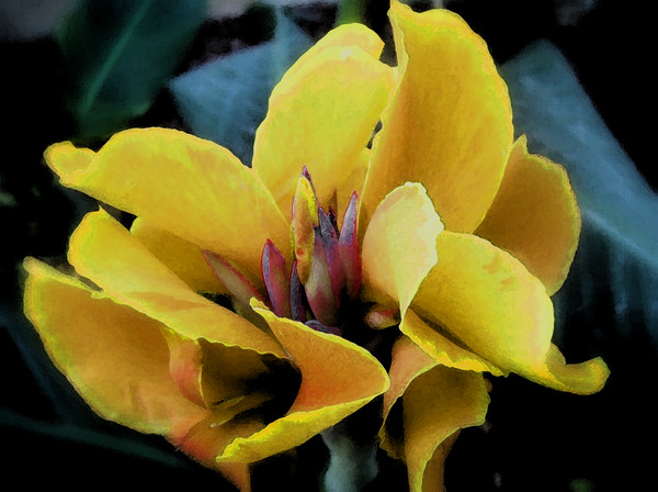 Yielding Yellow
