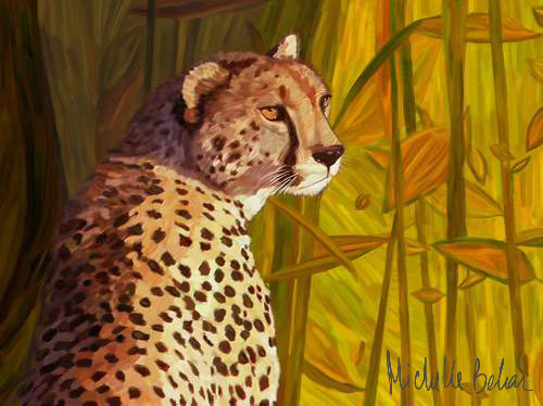 Cheetah