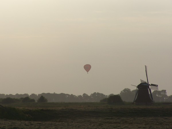 Dutch Summer