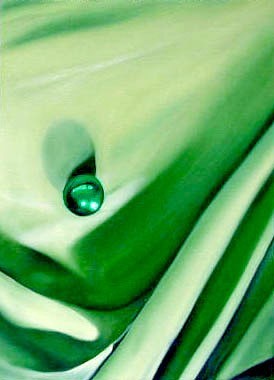 green still life