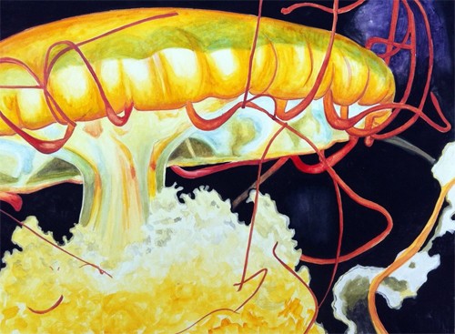 Chattanooga Jellyfish