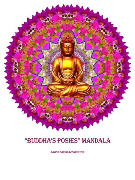 Buddhas Posies