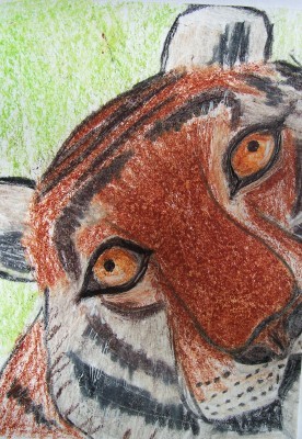 tigers eye