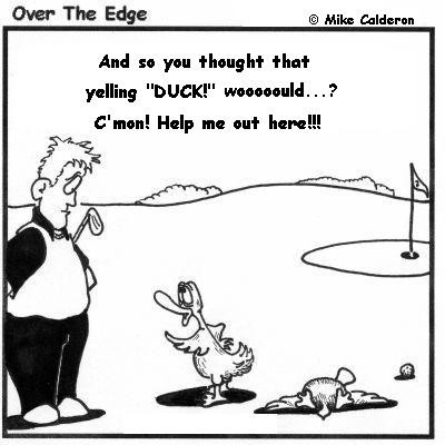 DUCK!!!