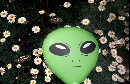 Alien and Butterflies