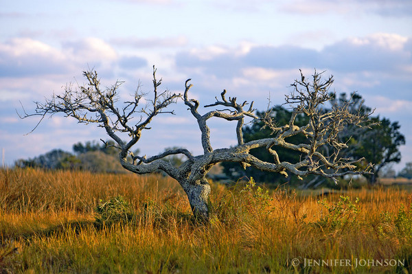 Still Standing