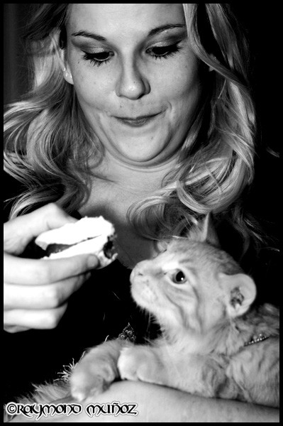 Feed The Kitty