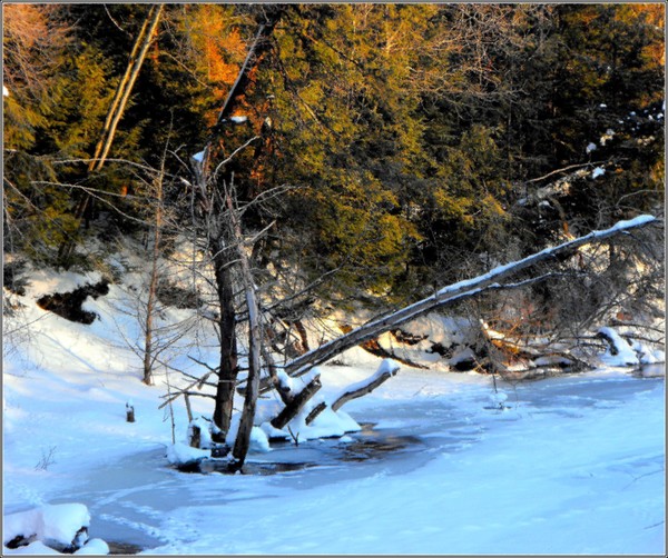 Icy Creek