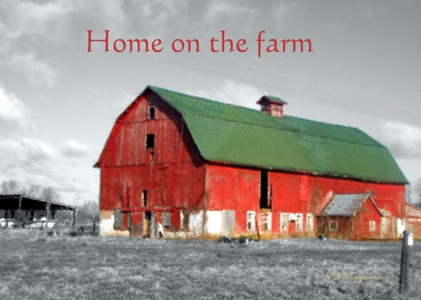 Home on The Farm