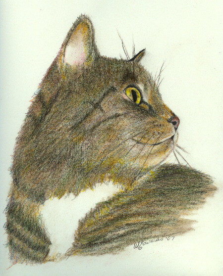 Furgie Diana