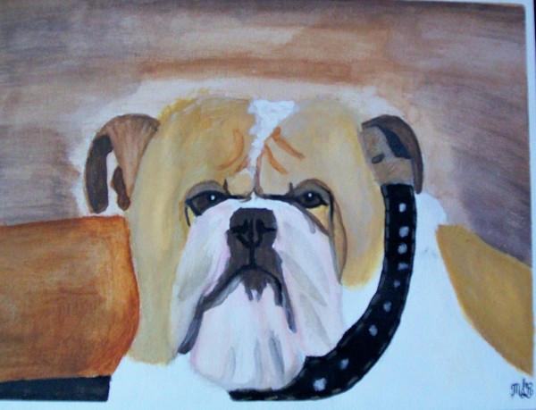 The Bull Dog