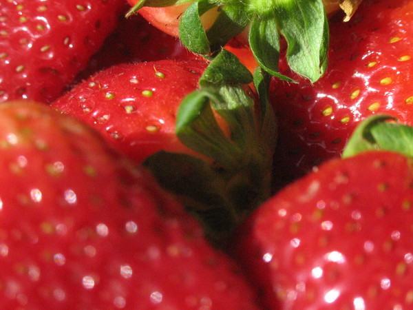Berries of the Straw