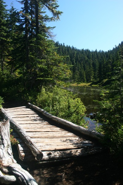 On the Way...Twin Lake #1