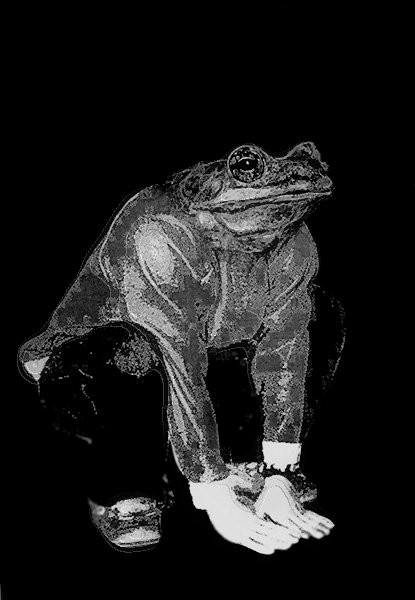 frog