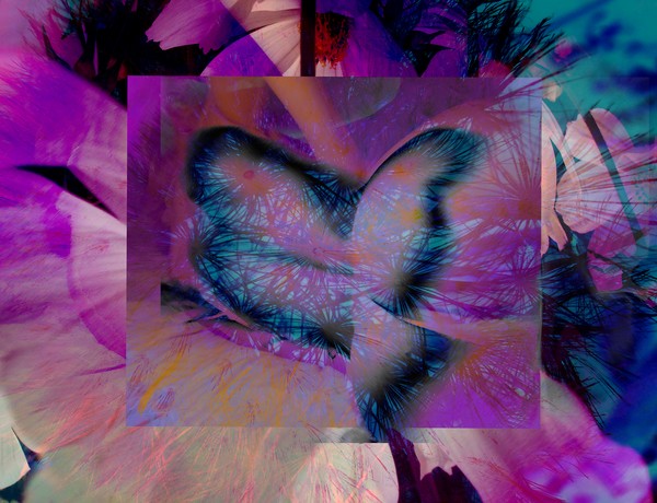 butterfly girl en beu