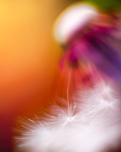 Sunpressionism