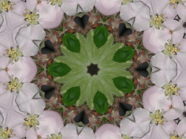 Playing with florescence