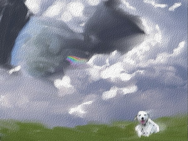 #3/34 Dottie at the Rainbow Bridge