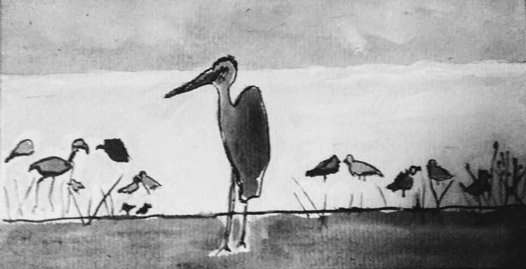 Night Birds