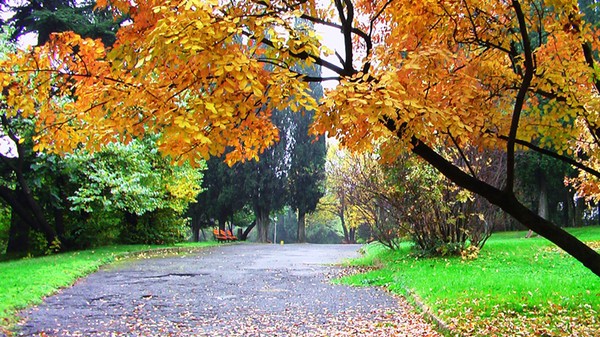 Autumn Park