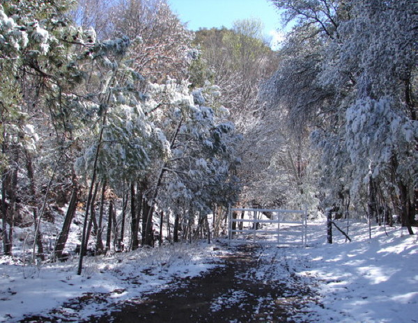 Winter Wonderland 2
