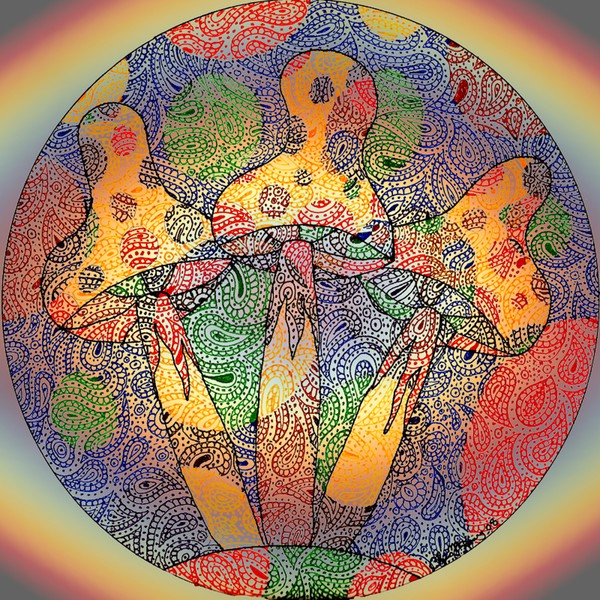 Rain-bowed Mushroom Doodle 1
