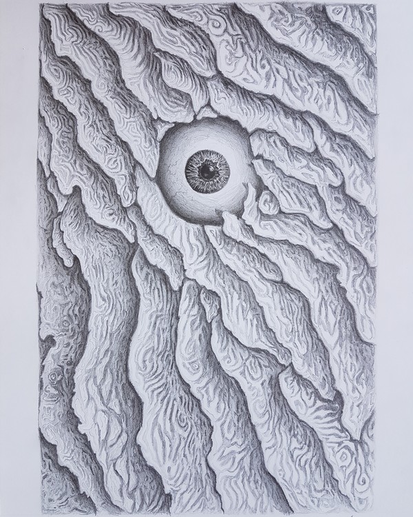 Consciousness