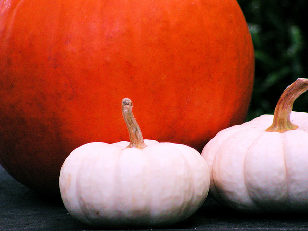 Three Pumpkins