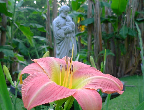 In The Garden