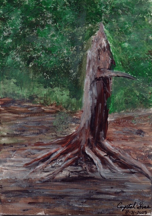 tree stump swan ridge
