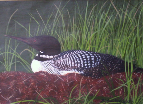 Dad's Loon