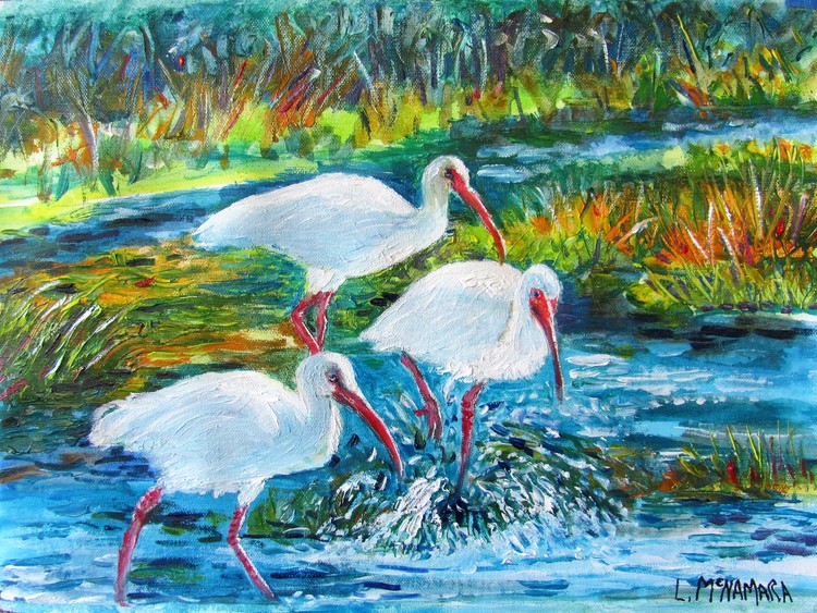 1705 SOLD Bath Time! White City Park Ibis Oil Painting