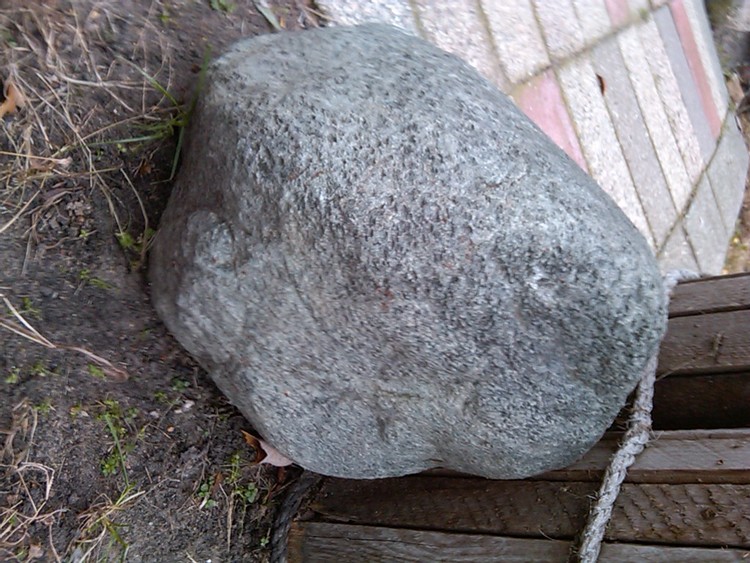 IMG01363-20101121-1333