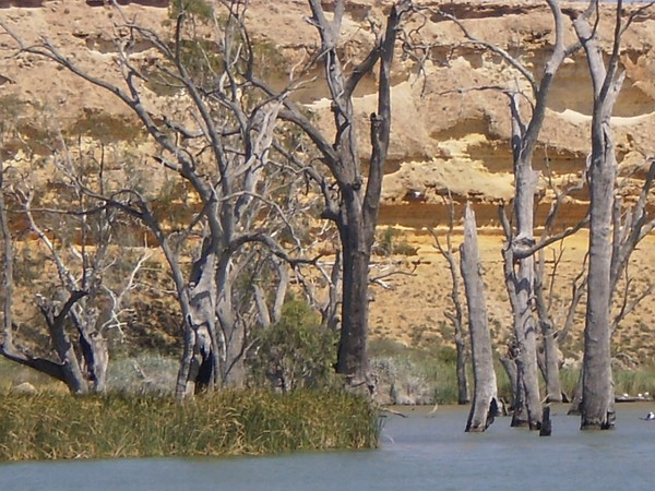 Murrey River 3